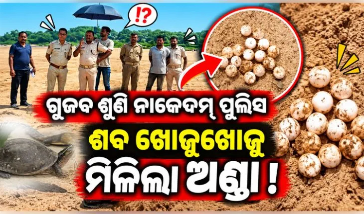 ମିଛ ଗୁଜବ ଶୁଣି ପୁଲିସ ନାକେଦମ୍‌‌; ଶବ ଖୋଜୁଖୋଜୁ ମିଳିଲା ଅଣ୍ଡା