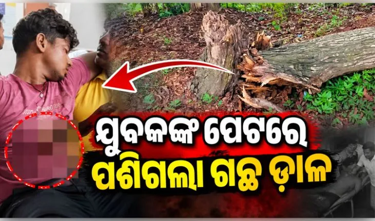 ଚଳନ୍ତା ବାଇକ୍ ଉପରେ ପଡ଼ିଲା ଗଛ ଡାଳ, ଯୁବକଙ୍କ ପେଟରେ ପଶିଲା ଶୁଖିଲା କାଠ