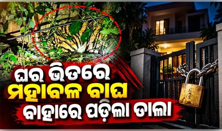 ଘରେ ପଶିଲା ମହାବଳ ବାଘ, ବାହାରୁ ତାଲା ପକାଇ ଆବଦ୍ଧ କଲେ ଗାଁ ଲୋକେ
