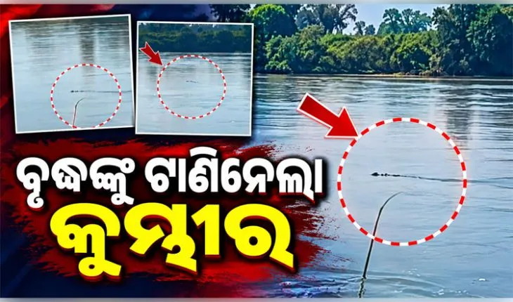 ଯାଜପୁରରେ ଅଘଟଣ: ଖରସ୍ରୋତା ନଦୀରେ ବୃଦ୍ଧଙ୍କୁ ଟାଣିନେଲା କୁମ୍ଭୀର, ଖୋଜାଖୋଜି ଜାରି
