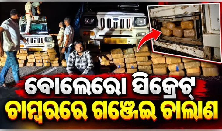 ବୋଲେରୋର ସିକ୍ରେଟ୍ ଚାମ୍ବରରେ ହେଉଥିଲା ଗଞ୍ଜେଇ ଚାଲାଣ, ମାଡିବସିଲା ପୋଲିସ; ୨୧୪ କେଜି ଗଞ୍ଜେଇ ଜବତ, ଜଣେ ଗିରଫ 