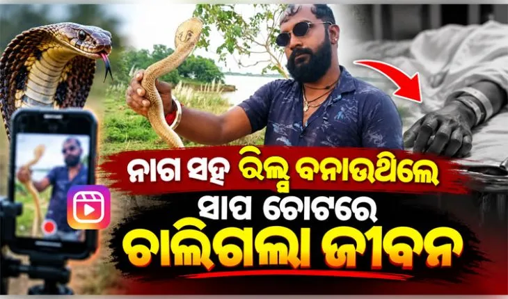 ରିଲ୍ ନିଶା ନେଲା ଜୀବନ: ବିଷଧର ନାଗ ସାପ କାମୁଡ଼ାରେ ସାପୁଆଙ୍କ ମୃତ୍ୟୁ 