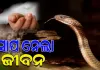 ଶୋଇଥିବା ବେଳେ ସାପ କାମୁଡ଼ାରେ କକା ଓ ପୁତୁରାଙ୍କ ମୃତ୍ୟୁ, ଅନ୍ୟ ଜଣେ ଗୁରୁତର 