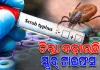 ସୁନ୍ଦରଗଡ଼ରେ ସ୍କ୍ରବ୍ ଟାଇଫସ୍ ଚିନ୍ତା: ଆକ୍ରାନ୍ତଙ୍କ ସଂଖ୍ୟା ୮୦୦ ପାର୍, ସ୍ଥିତି ଉପରେ ସ୍ୱାସ୍ଥ୍ୟ ବିଭାଗର ନଜର