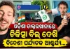 ଓଡ଼ିଶାରେ ଆମେରିକୀୟ ଫିଲ୍ମ ନିର୍ମାତାଙ୍କୁ ମାଗଣା ଚିକିତ୍ସା, ୦ ଟଙ୍କାର ବିଲ୍ ଦେଖି ଆଶ୍ଚର୍ଯ୍ୟ ହେଲେ ବିଦେଶୀ ପର୍ଯ୍ୟଟକ