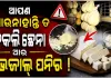 ଟ୍ୱିନ୍‌‌ସିଟିରେ ଖାଦ୍ୟ ସୁରକ୍ଷା ଯାଞ୍ଚ କଡ଼ାକଡ଼ି: ବିପୁଳ ପରିମାଣର ଭେଜାଲ ପନିର, ନକଲି ଛେନା ଜବତ 