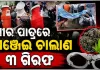 ଗଞ୍ଜେଇ ଚାଲାଣର ଅଭିନବ ପ୍ରୟାସ: କ୍ଷୀର ପାତ୍ରରେ ଚାଲାଣ ବେଳେ ୩ ଗିରଫ, ୪୪ କେଜି ଜବତ 