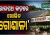 ରାଜପଥରେ ବୁଲାଗୋରୁଙ୍କ ଯୋଗୁଁ ହେଉଥିବା ଦୁର୍ଘଟଣା ରୋକିବାକୁ ନୂଆ ପଦକ୍ଷେପ: ଜାତୀୟ ରାଜପଥ କଡ଼ରେ ଖୋଲିବ 'ଗୋଶାଳା'