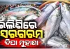 ମତ୍ସ୍ୟଜୀବୀଙ୍କ ଜାଲରେ ପଡିଲା ଟନ୍ ଟନ୍ ଇଲିଶି, ୩୦ ଟନ୍‌ରୁ ଅଧିକ ମାଛ ଧରି ଦିଘା ମୁହାଣରେ ଲାଗିଲା ଟ୍ରଲର 