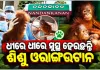 ବାଲେଶ୍ୱରରୁ ଉଦ୍ଧାର ୫ ଓରାଙ୍ଗଓଟାନ ଛୁଆଙ୍କ ସ୍ୱାସ୍ଥ୍ୟବସ୍ଥାରେ ସୁଧାର, ନନ୍ଦନକାନନରେ ଚାଲିଛି ଚିକିତ୍ସା