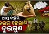 ଓଡ଼ିଶାର ପ୍ରତି ଚାଷୀ ପରିବାର ଉପରେ ୩୨,୭୨୧ଟଙ୍କା ଋଣ: କେନ୍ଦ୍ର