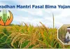 PM ଫସଲ ବୀମା ଡାଟା ଅପଲୋଡରେ ଅବହେଳା: ୬ ଜିଲ୍ଲାର ADMଙ୍କୁ କାରଣ ଦର୍ଶାଅ ନୋଟିସ୍