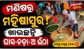 ନାଗ ପଞ୍ଚମୀରେ ମଇଁଷି ଭଳି ବ୍ୟବହାର କରୁଛନ୍ତି ୭୦ ବର୍ଷୀୟ ବୃଦ୍ଧ, ଦାବି କରୁଛନ୍ତି ଶରୀରରେ ପ୍ରବେଶ କରୁଛନ୍ତି ମହିଷାସୁର