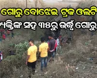 ପିକ୍‌ଅପ୍‌କୁ ଧକ୍କା ଦେଇ ଓଲଟିଲା ଗୋରୁ ବୋଝେଇ ଗାଡ଼ି, ୩ ବ୍ୟକ୍ତିଙ୍କ ସହ ୩୫ରୁ ଉର୍ଦ୍ଧ୍ବ ଗୋରୁ ମୃତ