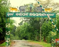 କର୍ଲାପାଟ ହାତୀ ମୃତ୍ୟୁ ଘଟଣା, ନିଲମ୍ବିତ ହେଲେ ପ୍ରାଣୀଧନ ନିରୀକ୍ଷକ