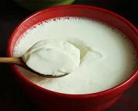 କାହାପାଇଁ କ୍ଷତିକାରକ ଦହି