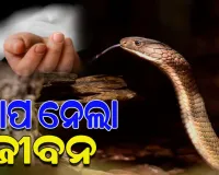 ଶୋଇଥିବା ବେଳେ ସାପ କାମୁଡ଼ାରେ କକା ଓ ପୁତୁରାଙ୍କ ମୃତ୍ୟୁ, ଅନ୍ୟ ଜଣେ ଗୁରୁତର 