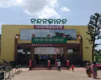 ନନ୍ଦନକାନନ ଆସିବେ ରେଡ୍ କଙ୍ଗାରୁ ଓ ଆଫ୍ରିକୀୟ ଚିତା: ସ୍ୱାଗତ ପାଇଁ ସ୍ୱତନ୍ତ୍ର ପ୍ରସ୍ତୁତି
