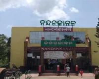 ନନ୍ଦନକାନନ ପ୍ରାଣୀ ଉଦ୍ୟାନରେ ଖସିଗଲା ହୁଲକ୍ ଗିବନ୍, ପର୍ଯ୍ୟଟକ ପାଟି ଶୁଣି ପୁଣି ନିଜେ ଫେରିଲା ଖୁଆଡ଼କୁ