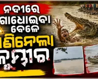 ଯାଜପୁରରେ କୁମ୍ଭୀର ଆତଙ୍କ: ଖରସ୍ରୋତା ନଦୀରେ ଗାଧୋଇବା ବେଳେ ଟାଣିନେଲା କୁମ୍ଭୀର, ଉଦ୍ଧାର କାର୍ଯ୍ୟ ଜାରି
