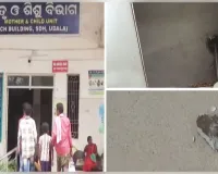 ଉଦଳା ମେଡିକାଲର ପ୍ରସୂତି ବିଭାଗରେ ଅଘଟଣ: ନବଜାତକକୁ ଧରି ବସିଥିବା ବେଳେ ପ୍ରସୂତିଙ୍କ ଉପରେ ପଡିଲା ଛାତ ସିଲିଂ 