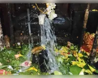 ଝାଡ଼ଖଣ୍ଡର ରହସ୍ୟମୟ 'ଟୁଟି ଝରନା' ଶିବ ମନ୍ଦିର: ଯେଉଁଠି ମା' ଗଙ୍ଗା ନିଜେ କରନ୍ତି ମହାଦେବଙ୍କ ଜଳାଭିଷେକ