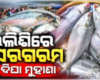 ମତ୍ସ୍ୟଜୀବୀଙ୍କ ଜାଲରେ ପଡିଲା ଟନ୍ ଟନ୍ ଇଲିଶି, ୩୦ ଟନ୍‌ରୁ ଅଧିକ ମାଛ ଧରି ଦିଘା ମୁହାଣରେ ଲାଗିଲା ଟ୍ରଲର 