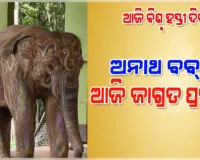 ଆଜି ବିଶ୍ବ ହସ୍ତୀ ଦିବସ: ଅନାଥ ବବ୍‌ଲୁ ଏବେ ଶିମିଳିପାଳର ଜାଗ୍ରତ ପ୍ରହରୀ