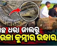 ମାଛ ଧରା ଜାଲରୁ ଉଦ୍ଧାର ହେଲା ୬ ଫୁଟ୍ ଲମ୍ବର ବଉଳା କୁମ୍ଭୀର