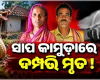 ସ୍ତ୍ରୀ ମୃତ୍ୟୁର ଦିନକ ପରେ ସାପ କାମୁଡ଼ାରେ ଚାଲିଗଲା ସ୍ୱାମୀଙ୍କ ଜୀବନ 