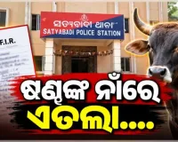 ବୁଲା ଷଣ୍ଢଙ୍କ ଉପଦ୍ରବରେ ଅତିଷ୍ଠ ଶହଶହ ଚାଷୀ, ଶେଷରେ ଥାନାର ଦ୍ୱାରସ୍ଥ ହୋଇ ଦେଲେ ଏତଲା