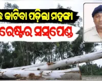 ମନଇଛା ଗଛ କାଟିବା ଅଭିଯୋଗରେ ଡାବୁଗାଁ ରେଞ୍ଜ ମୈଦଲପୁର ସେକ୍ସନ ଫରେଷ୍ଟର ନିଲମ୍ବିତ