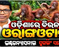 ବାଲେଶ୍ୱରରୁ ଓରାଙ୍ଗଉଟାନ୍‌ ଉଦ୍ଧାର ଘଟଣା: ଅନ୍ତର୍ଜାତୀୟ ଚୋରାଚାଲାଣ ଲିଙ୍କ୍ ଆଶଙ୍କା କଲେ ଜଙ୍ଗଲ ମନ୍ତ୍ରୀ