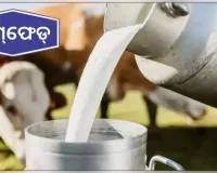 ଦୁଗ୍ଧ ଚାଷୀଙ୍କୁ ଲିଟର ପିଛା ୨ ଟଙ୍କା ଅଧିକ ଦେବାକୁ ଓମ୍‌ଫେଡ୍ ପକ୍ଷରୁ ନିଷ୍ପତ୍ତି, ସେପ୍ଟେମ୍ବର ୧୧ରୁ ଲାଗୁ