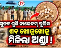 ମିଛ ଗୁଜବ ଶୁଣି ପୁଲିସ ନାକେଦମ୍‌‌; ଶବ ଖୋଜୁଖୋଜୁ ମିଳିଲା ଅଣ୍ଡା