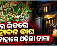 ଘରେ ପଶିଲା ମହାବଳ ବାଘ, ବାହାରୁ ତାଲା ପକାଇ ଆବଦ୍ଧ କଲେ ଗାଁ ଲୋକେ