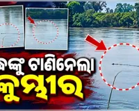 ଯାଜପୁରରେ ଅଘଟଣ: ଖରସ୍ରୋତା ନଦୀରେ ବୃଦ୍ଧଙ୍କୁ ଟାଣିନେଲା କୁମ୍ଭୀର, ଖୋଜାଖୋଜି ଜାରି