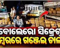 ବୋଲେରୋର ସିକ୍ରେଟ୍ ଚାମ୍ବରରେ ହେଉଥିଲା ଗଞ୍ଜେଇ ଚାଲାଣ, ମାଡିବସିଲା ପୋଲିସ; ୨୧୪ କେଜି ଗଞ୍ଜେଇ ଜବତ, ଜଣେ ଗିରଫ 