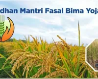PM ଫସଲ ବୀମା ଡାଟା ଅପଲୋଡରେ ଅବହେଳା: ୬ ଜିଲ୍ଲାର ADMଙ୍କୁ କାରଣ ଦର୍ଶାଅ ନୋଟିସ୍