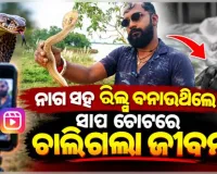 ରିଲ୍ ନିଶା ନେଲା ଜୀବନ: ବିଷଧର ନାଗ ସାପ କାମୁଡ଼ାରେ ସାପୁଆଙ୍କ ମୃତ୍ୟୁ 