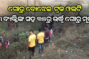 ପିକ୍‌ଅପ୍‌କୁ ଧକ୍କା ଦେଇ ଓଲଟିଲା ଗୋରୁ ବୋଝେଇ ଗାଡ଼ି, ୩ ବ୍ୟକ୍ତିଙ୍କ ସହ ୩୫ରୁ ଉର୍ଦ୍ଧ୍ବ ଗୋରୁ ମୃତ