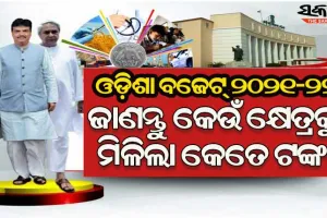 ରାଜ୍ୟ ବଜେଟ୍‌ ୨୦୨୧-୨୨ : ଜାଣନ୍ତୁ କେଉଁ କ୍ଷେତ୍ର ପାଇଁ କେତେ ଟଙ୍କା ବ୍ୟୟ ବରାଦ କଲେ ରାଜ୍ୟ ସରକାର