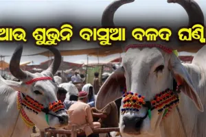ଆଉ ଶୁଭୁନି ବାସୁଆ ବଳଦ ଘଣ୍ଟି