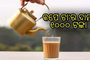 କପେ ଚା’ର ଦାମ୍‌ ୧୦୦୦ ଟଙ୍କା