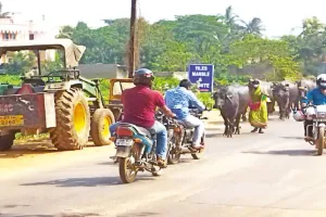 ମଇଁଷିଆଳ କରୁଛନ୍ତି ଟ୍ରାଫିକ୍‌ ନିୟନ୍ତ୍ରଣ : ଜବରଦଖଲରେ ସୁନ୍ଦରପଦା-ଜଟଣୀ ରାସ୍ତା