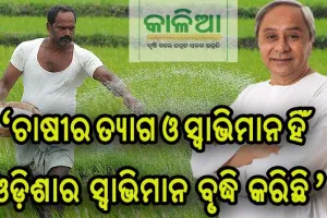 ଚାଷୀଙ୍କ ଖାତାକୁ ଗଲା ‘କାଳିଆ’ ଟଙ୍କା