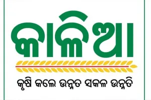 ଆଜି ମିଳିବ ‘କାଳିଆ ସହାୟତା’ ରାଶି