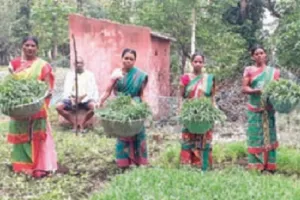 ‘ମିଶନ ଶକ୍ତି’ ରୁ ରୋଜଗାରର ରାହା ପାଇଲେ ଆଦିବାସୀ ମହିଳା