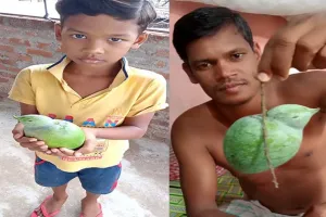 ଚଢେଇ ଆକୃତିର ଆମ୍ବ ଦେଖିବାକୁ ଲୋକଙ୍କ ମଧ୍ୟରେ ଭିଡ