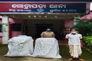 ୧ କୁଇଣ୍ଟାଲରୁ ଅଧିକ ପରିମାଣର ଗଞ୍ଜେଇ ଜବତ, ଜଣେ ଗିରଫ